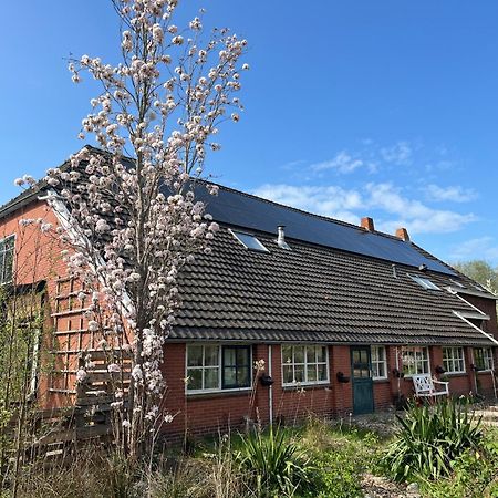 Hoeve Veganza B&B Vlagtwedde Екстер'єр фото
