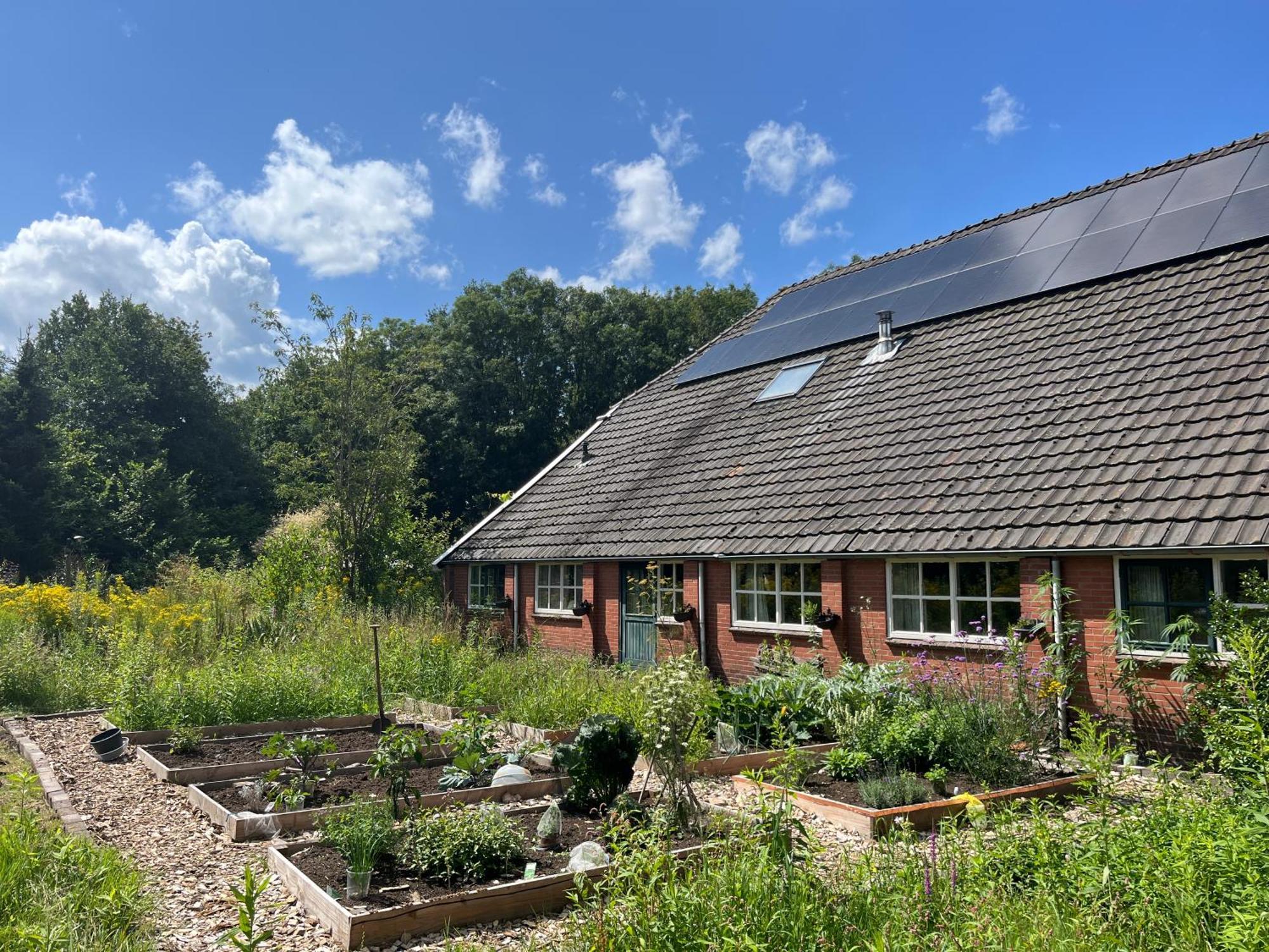Hoeve Veganza B&B Vlagtwedde Екстер'єр фото