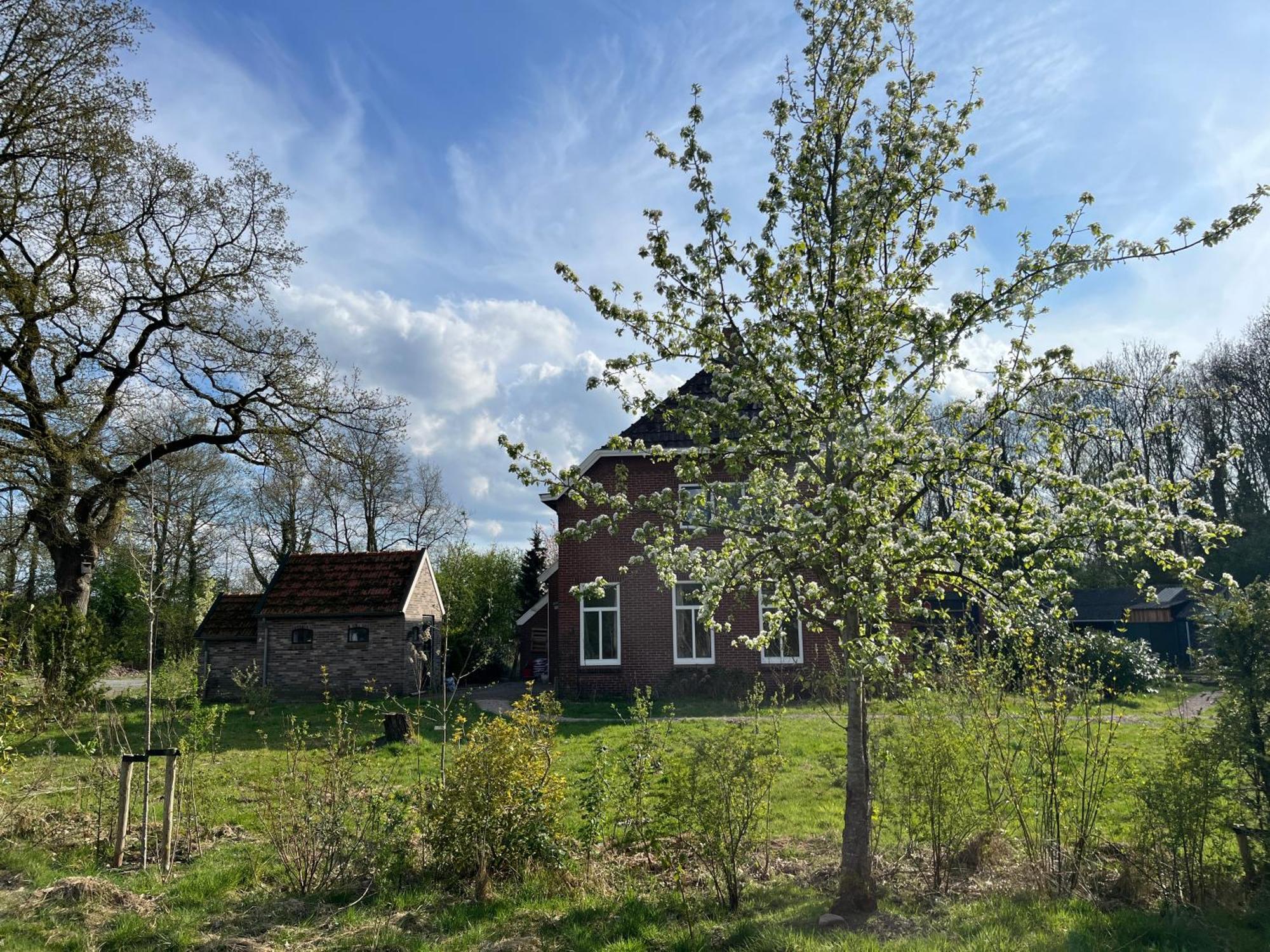Hoeve Veganza B&B Vlagtwedde Екстер'єр фото