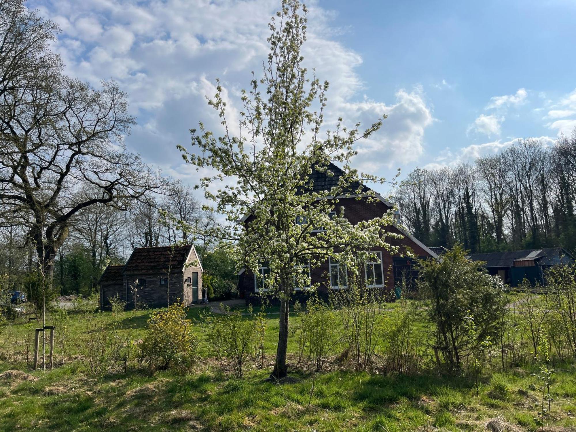 Hoeve Veganza B&B Vlagtwedde Екстер'єр фото
